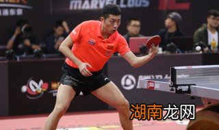 许昕资料 许昕简介