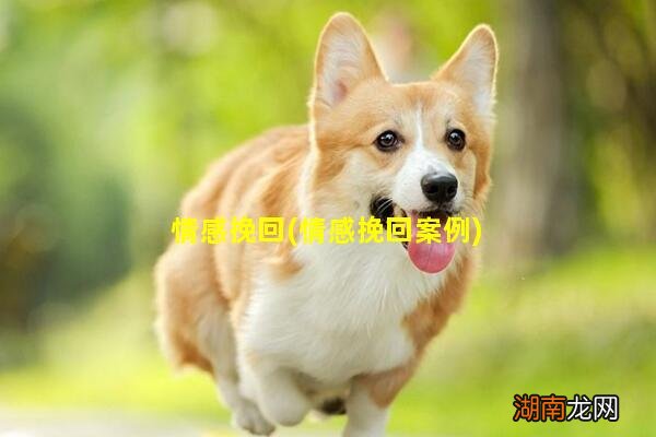 情感挽回案例 情感挽回