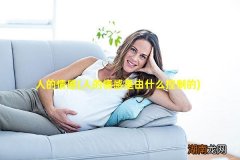 人的情感是由什么控制的 人的情感