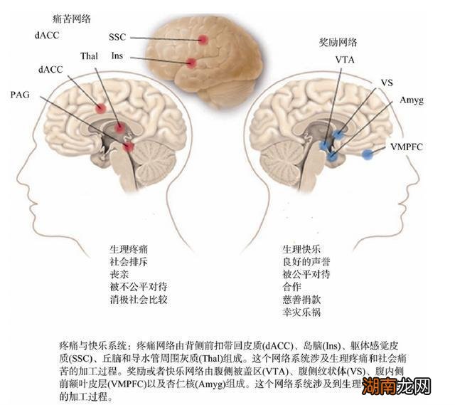 岸然情感挽回公司情感交流平台