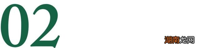 岸然情感挽回公司情感交流平台