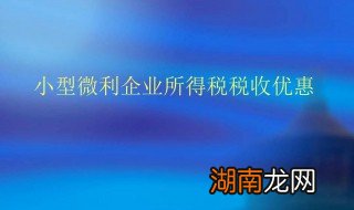 小型微利企业的标准 小型微利企业的标准是什么