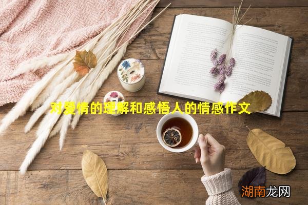 对爱情的理解和感悟人的情感作文