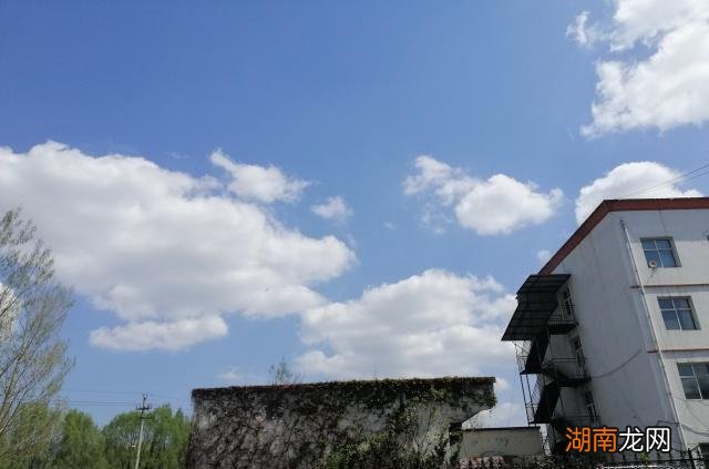 深夜电台情感独白文本