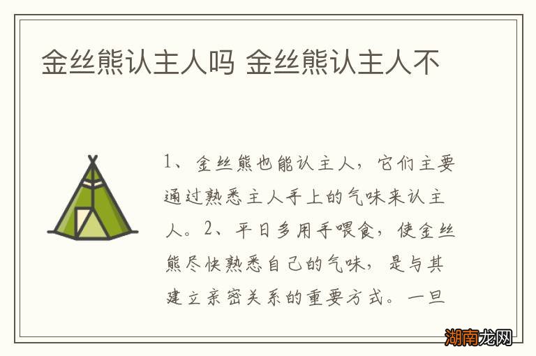 金丝熊认主人吗 金丝熊认主人不