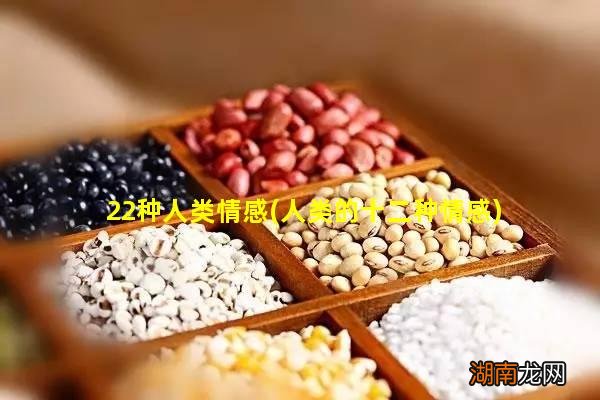 人类的十二种情感 22种人类情感