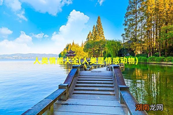 人类是情感动物 人类情感大全