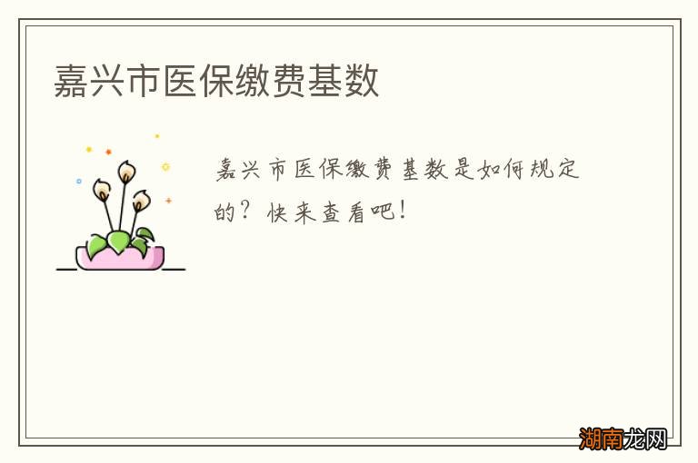 嘉兴市医保缴费基数