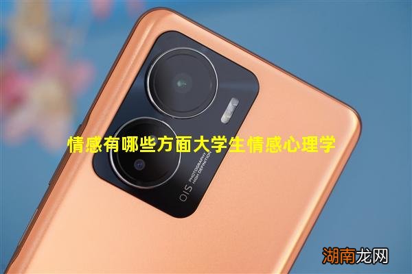 情感有哪些方面大学生情感心理学