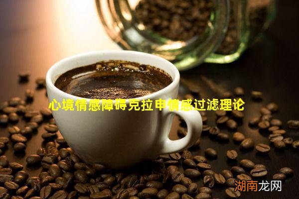 心境情感障碍克拉申情感过滤理论