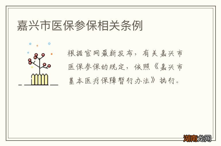 嘉兴市医保参保相关条例