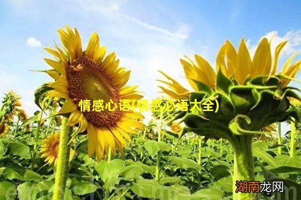情感心语大全 情感心语