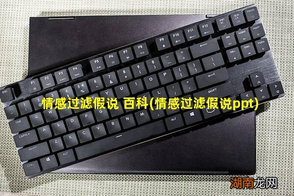 情感过滤假说ppt 情感过滤假说 百科