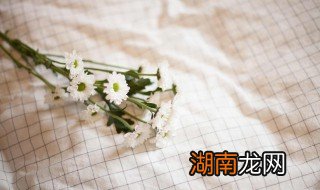 桌布怎么清洗又油又干净 桌布清洗方法