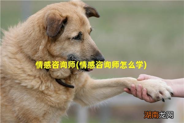 情感咨询师怎么学 情感咨询师