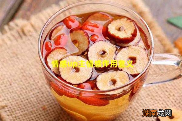 情感up主情感作用意义