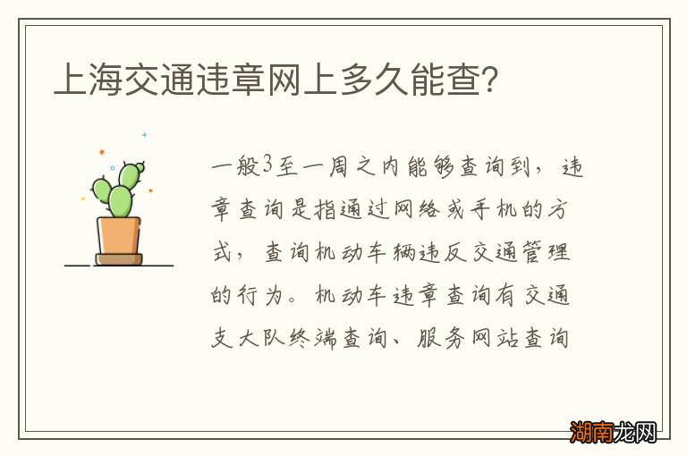 上海交通违章网上多久能查？