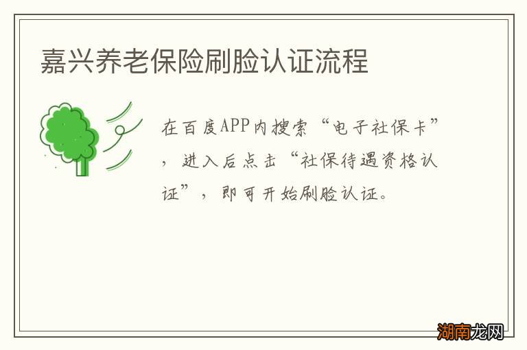 嘉兴养老保险刷脸认证流程