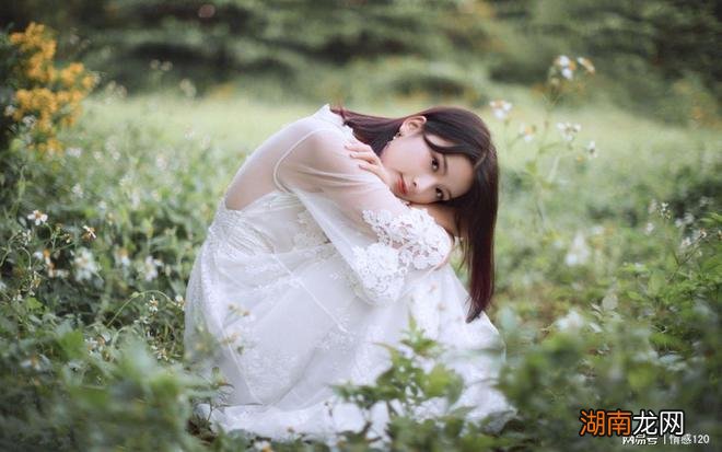 诗歌鉴赏情感类型归纳电台文本情感故事