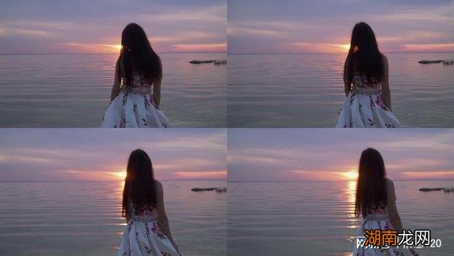 诗歌鉴赏情感类型归纳电台文本情感故事