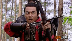 战神霍去病为什么会射杀保安司令李敢？