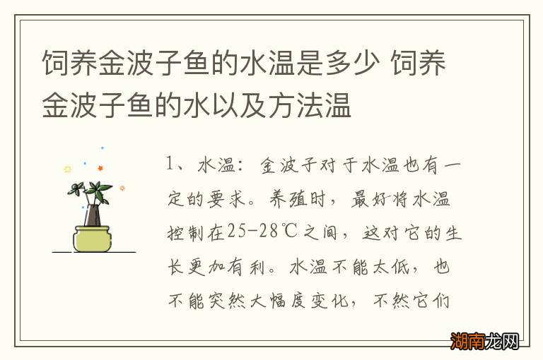 饲养金波子鱼的水温是多少 饲养金波子鱼的水以及方法温