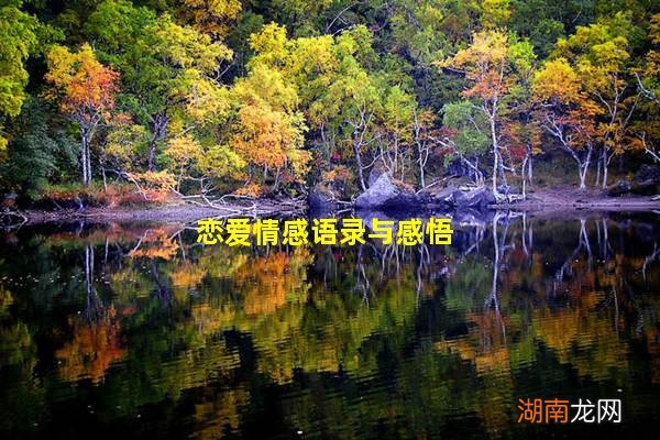 恋爱情感语录与感悟