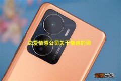 恋爱情感公司关于情感的词