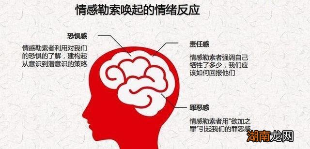 恋爱情感如何回答