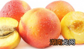 狗狗能不能吃桃子 狗狗能吃桃子吗