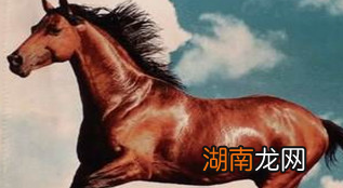 汉武帝远征大宛有什么意义？不光是为了宝马