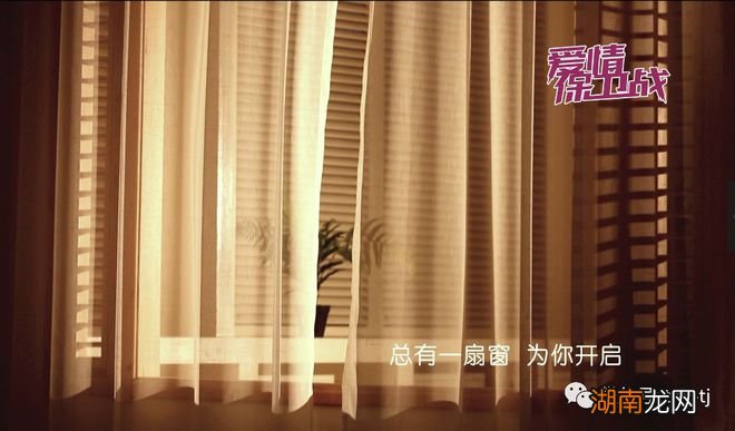 情感主播简单介绍情感交流平台免费