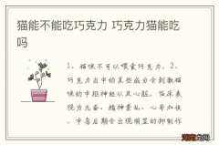 猫能不能吃巧克力 巧克力猫能吃吗