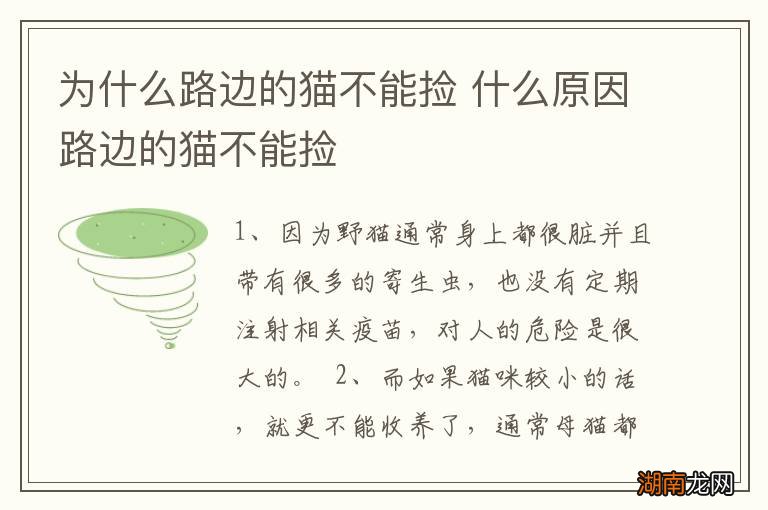 为什么路边的猫不能捡 什么原因路边的猫不能捡