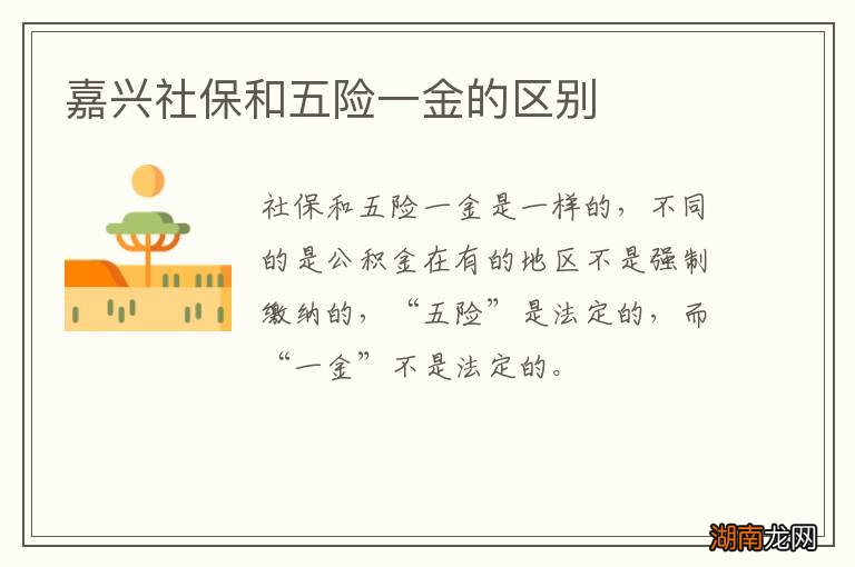 嘉兴社保和五险一金的区别