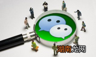 微信电脑版怎么看朋友圈 微信电脑版查看朋友圈的方法