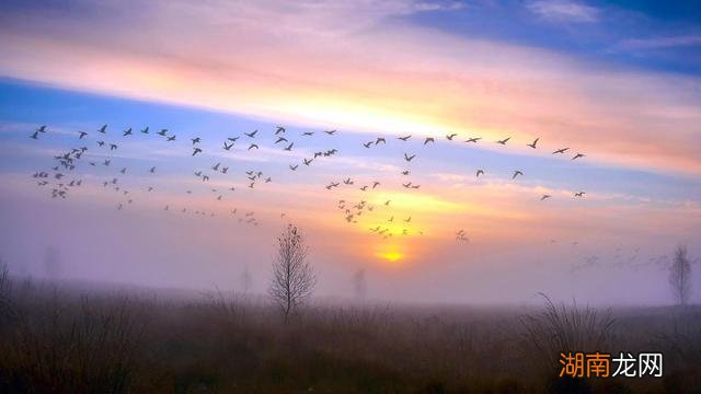 人物情感有哪些情感过滤假说名词解释