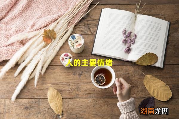 人的主要情绪