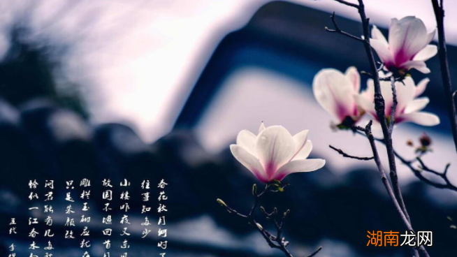 南唐李煜的后宫妃子有多惨?