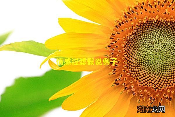 情感过滤假说例子