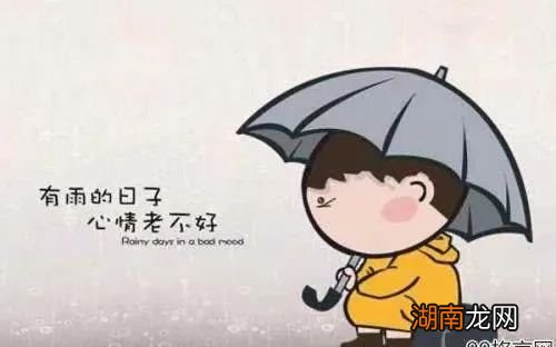 人类的16种基本情绪情感介绍