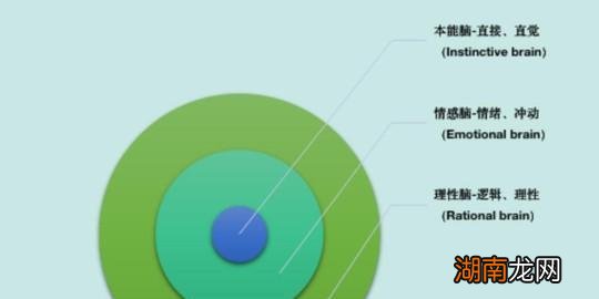 双相情感障碍的名人生活百科常识