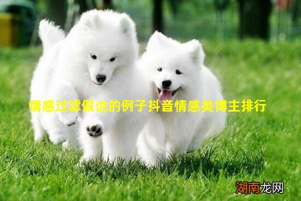 情感过滤假说的例子抖音情感类博主排行