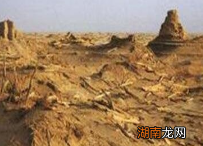 精绝古国遗址是如何发现的?其中有哪些故事?