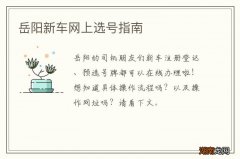 岳阳新车网上选号指南
