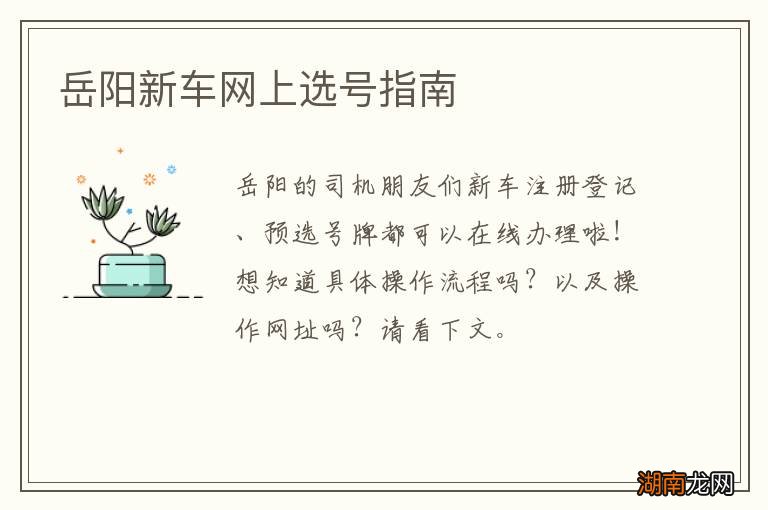 岳阳新车网上选号指南