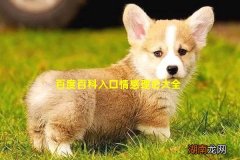 百度百科入口情感理论大全