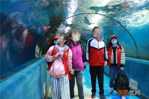 情侣问答题目100个情感领域简介怎么写