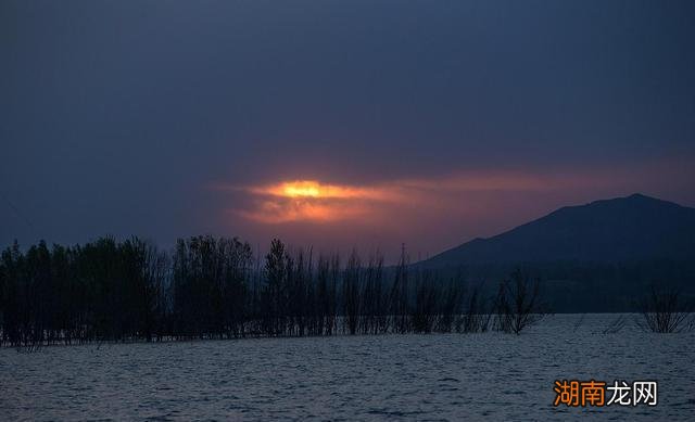 情感经历什么意思