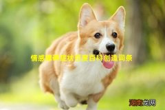 情感障碍症状百度百科创造词条